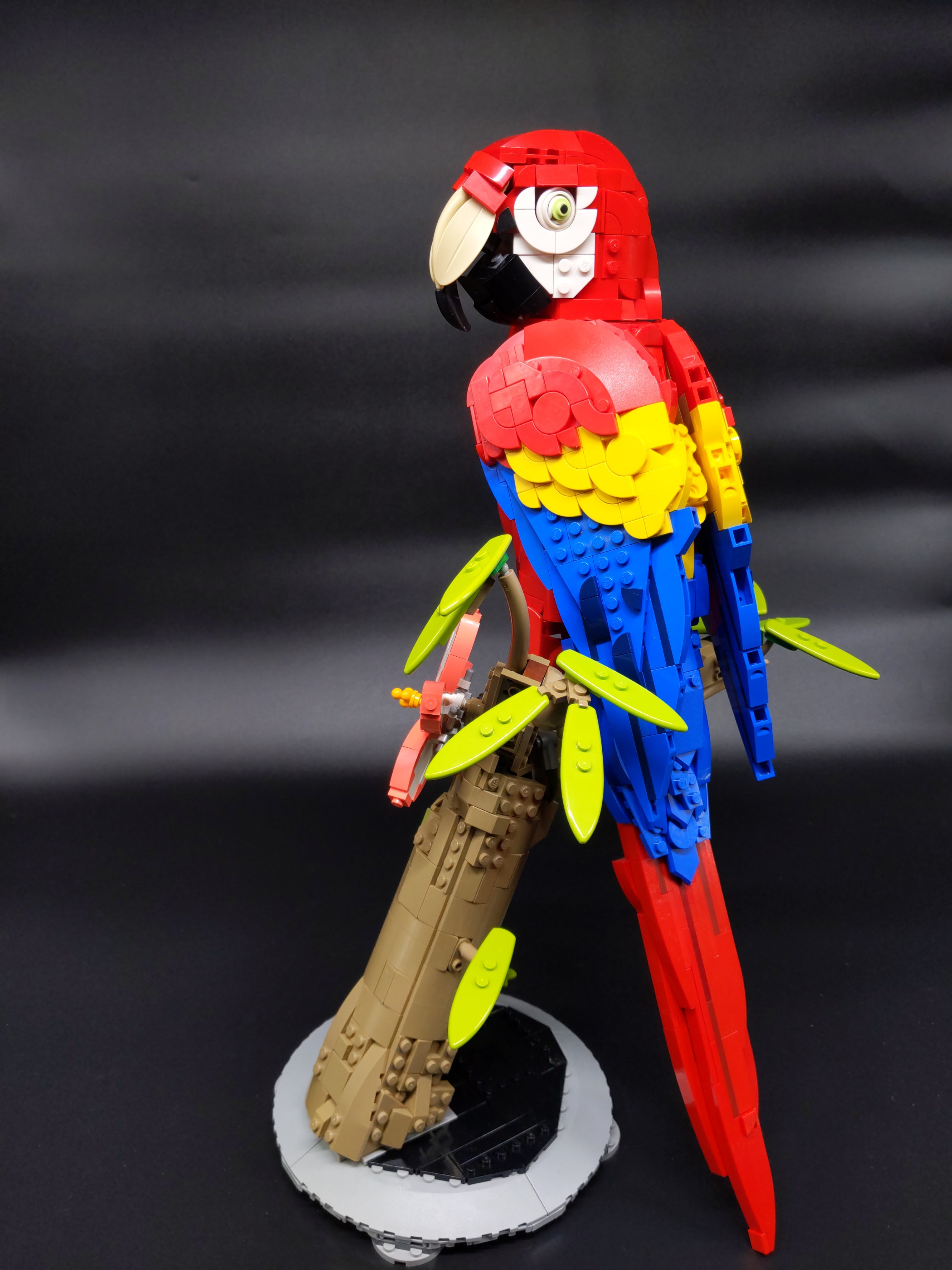 Lego macaw outlet